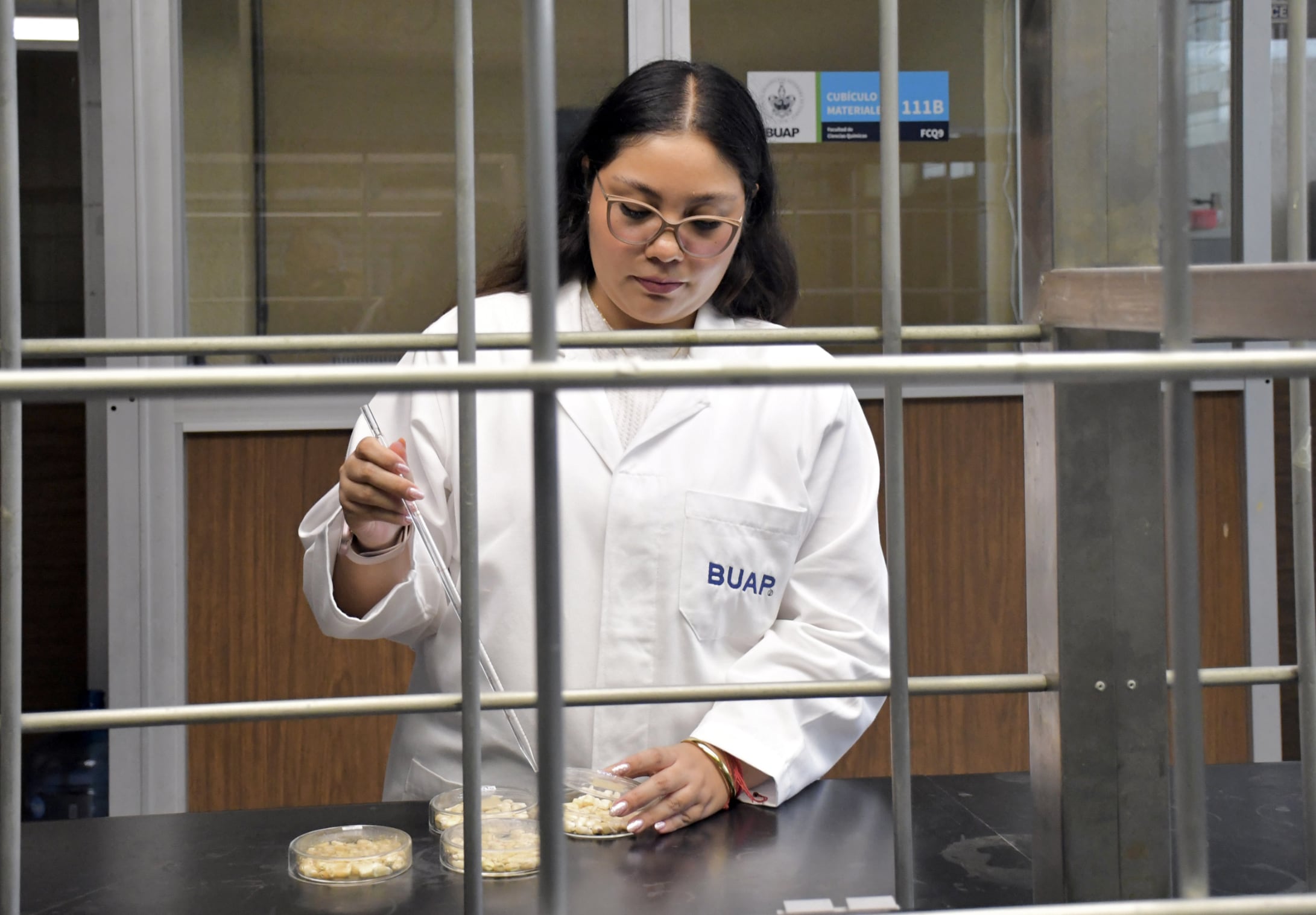 Investigadores de la BUAP analizan aceite esencial de orégano para inhibir hongos en el maíz.