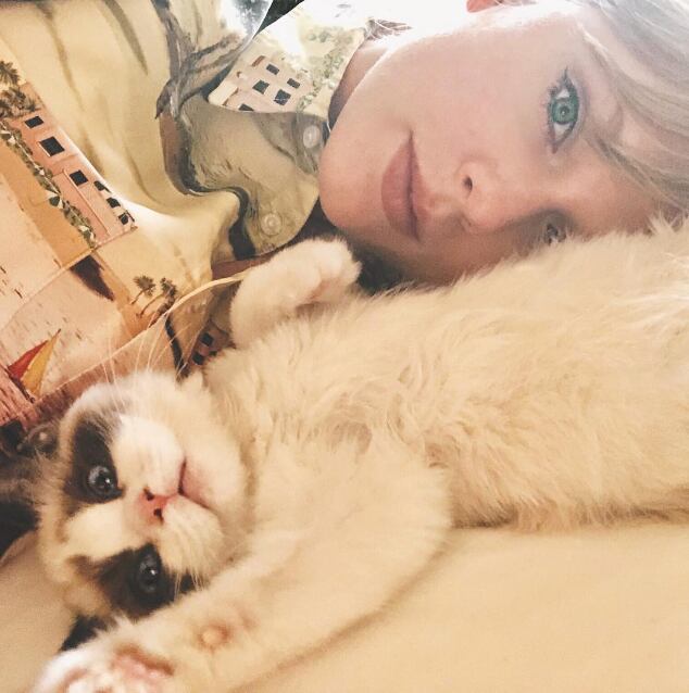 Taylor Swift y su gato