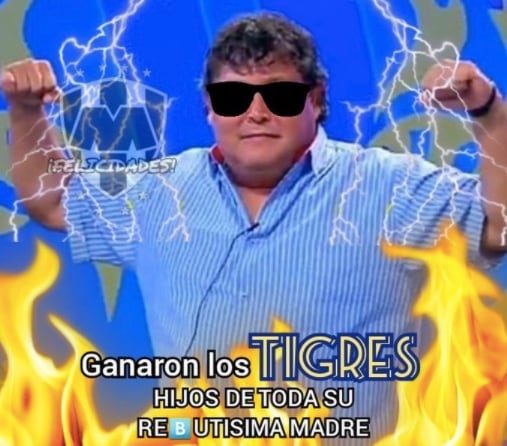 Memes Tigres