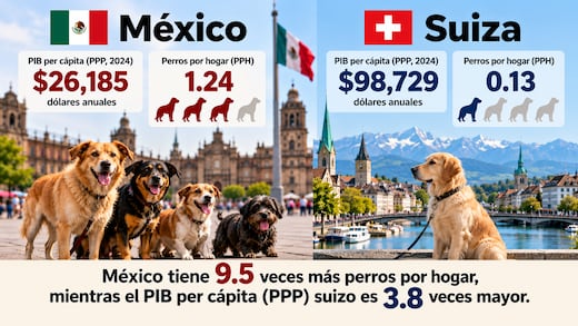 México, país perrero líder… Y ballenas canadienses