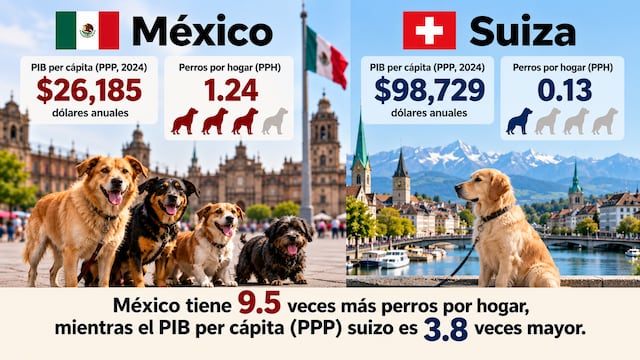 Perros México y Suiza: odiosa comparación