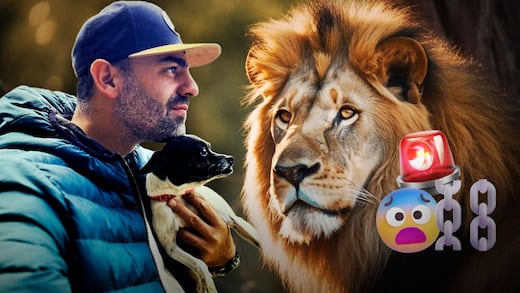 ¿Arturo Islas Allende vende animales rescatados? Una activista lo acusa de cometer delito de tráfico ilegal de especies