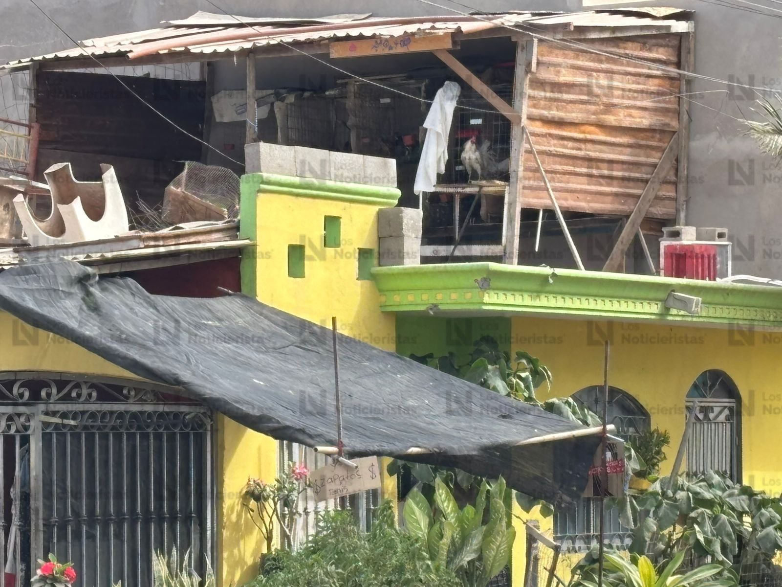 Casa baleada en la colonia Adolfo López Mateos