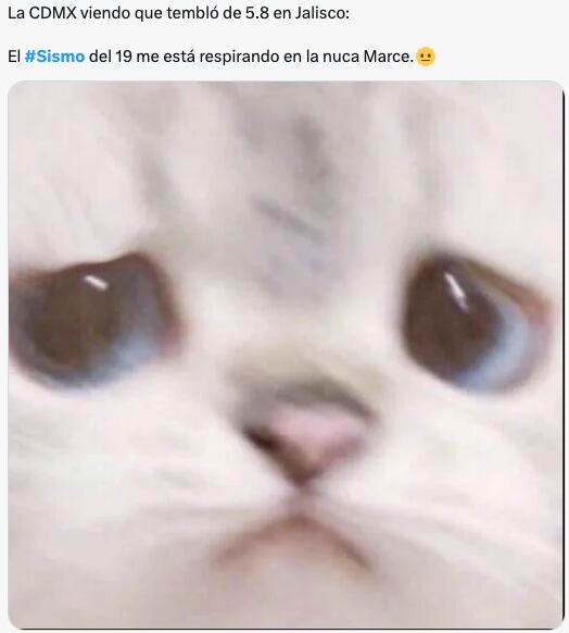 Estos son los mejores memes del sismo del 8 de septiembre