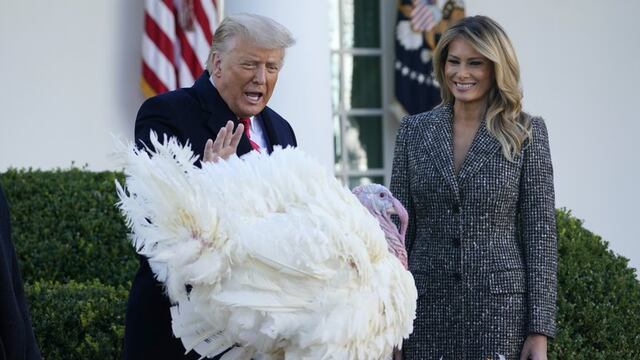 Donald Trump perdona pavo