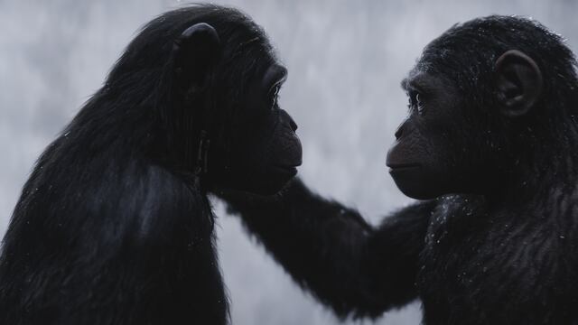 El Planeta de los Simios