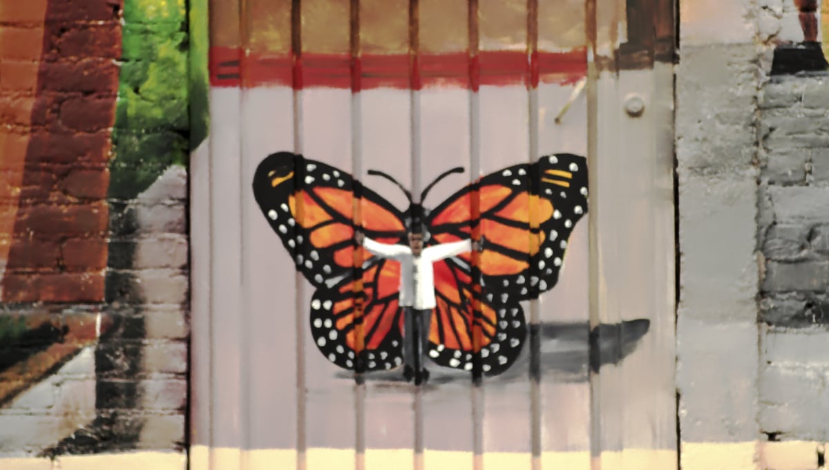 "El Guardián de las Monarcas", documental de Netflix