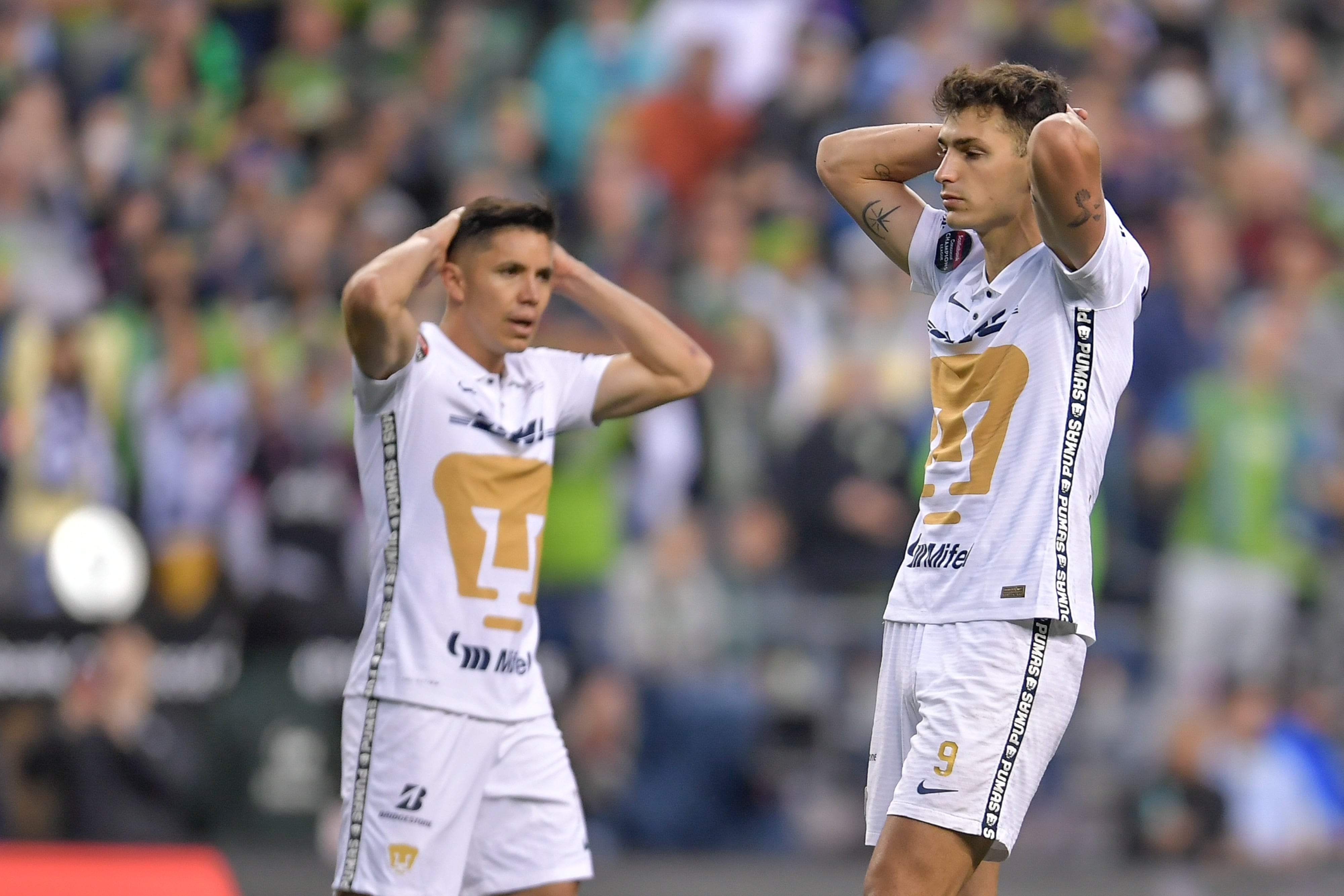 Los Pumas, víctimas de los memes