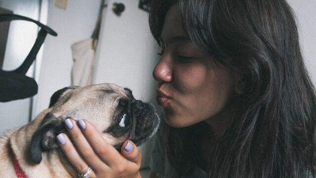 Beso perro pug