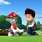60 minutos de capítulos de Paw Patrol de los mejores rescates de animales de Marshall en YouTube para ver en español por Día de Darwin