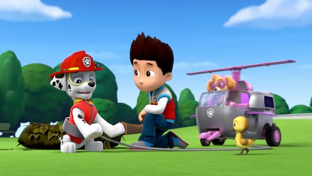 Paw Patrol por Día de Darwin