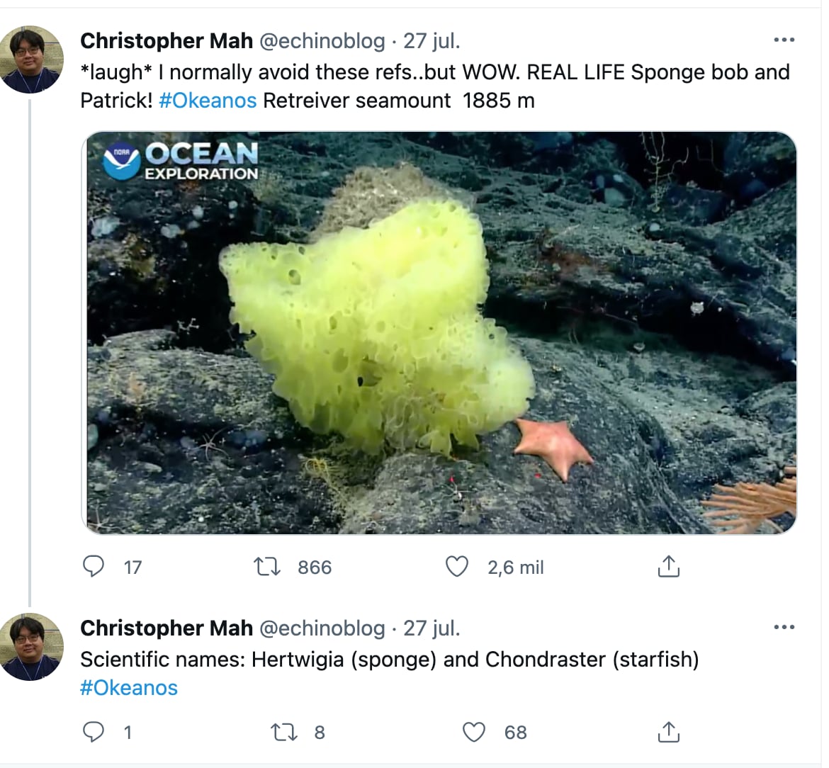 Bob Esponja y Patricio de la vida real