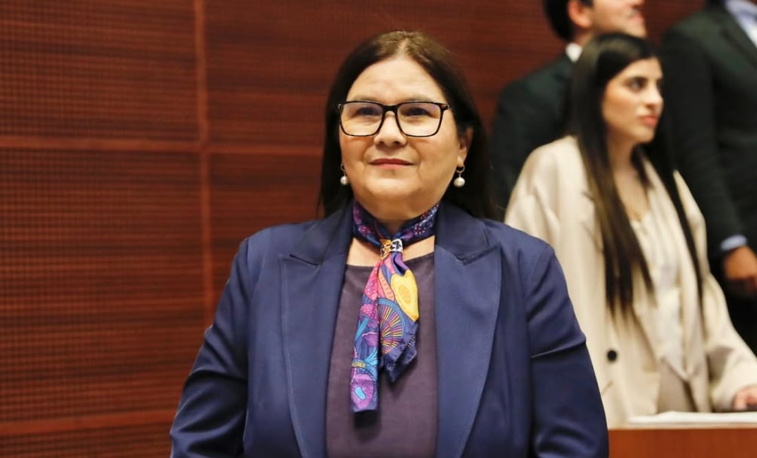 Imelda Castro, senadora por Morena