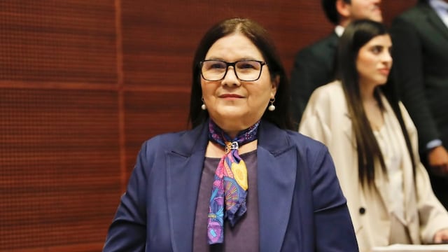 Imelda Castro, senadora por Morena