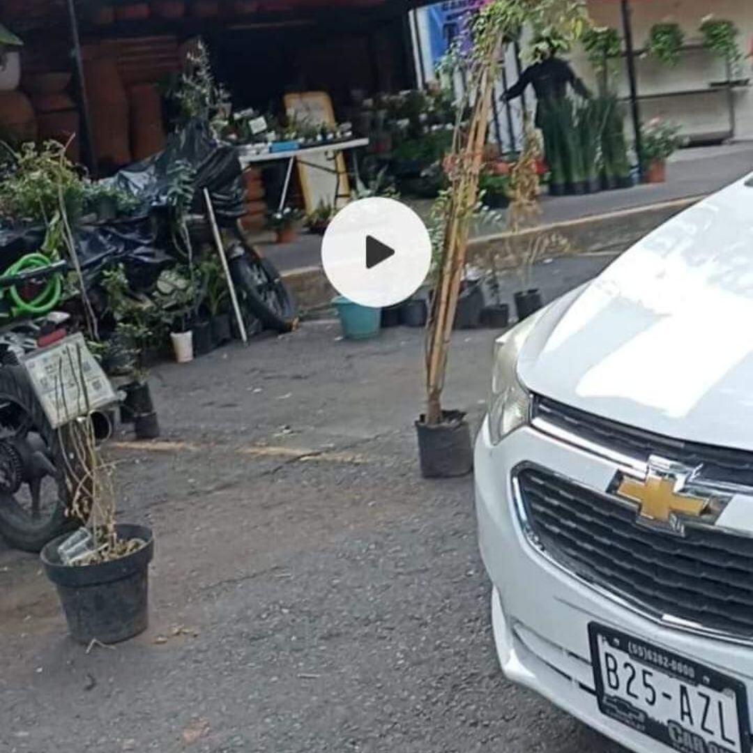 Uber que tomó Brenda Flores López