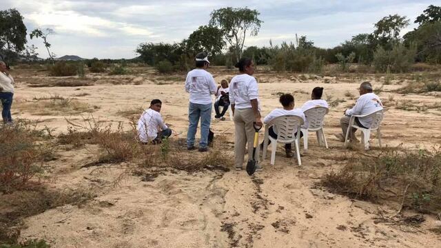 Búsqueda por La Paz