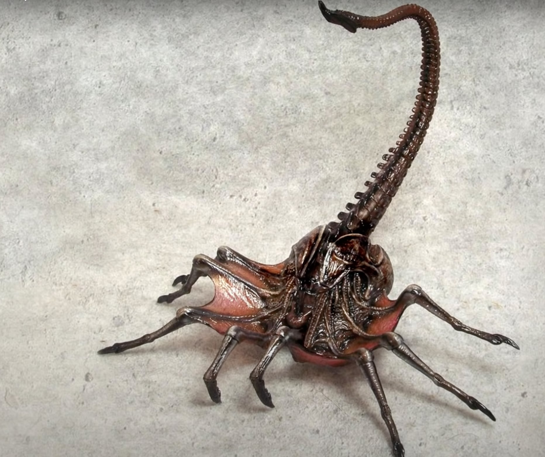 Facehugger Reina