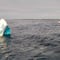 Isla Mujeres: hundimiento de embarcación deja 3 muertos