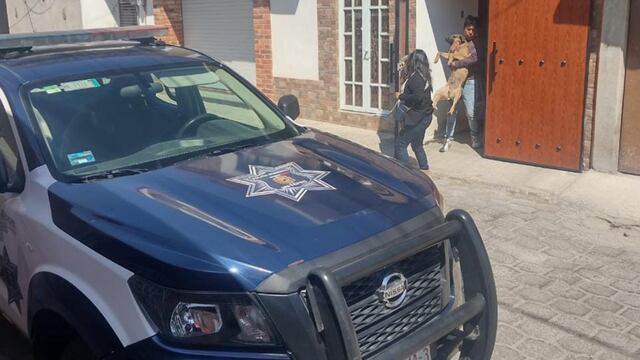 Perros atacan a jóvenes en Metepec