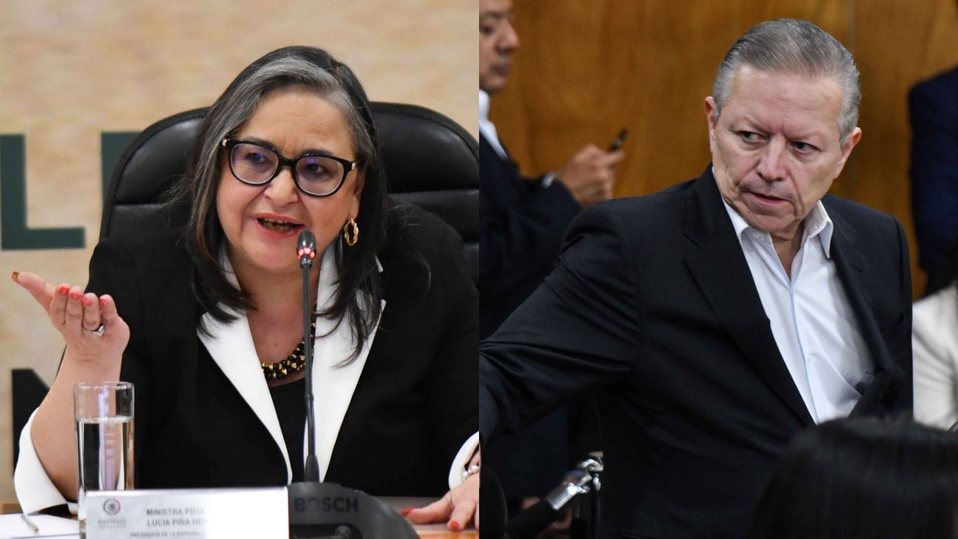 Norma Piña, Arturo Zaldívar