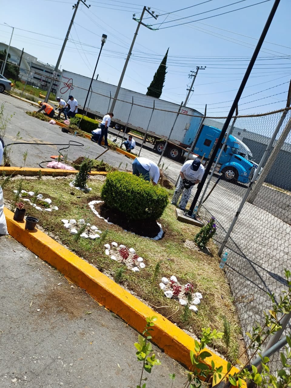 Toluca avanza con 80 jardines polinizadores; Ricardo Moreno impulsa recuperación.