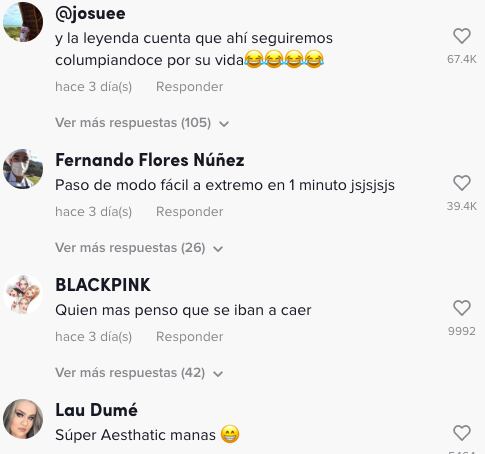 Perros las atacan grabando para TikTok
