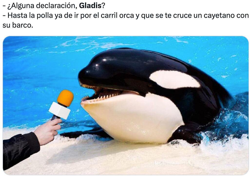 Memes de Gladis, la orca asesina