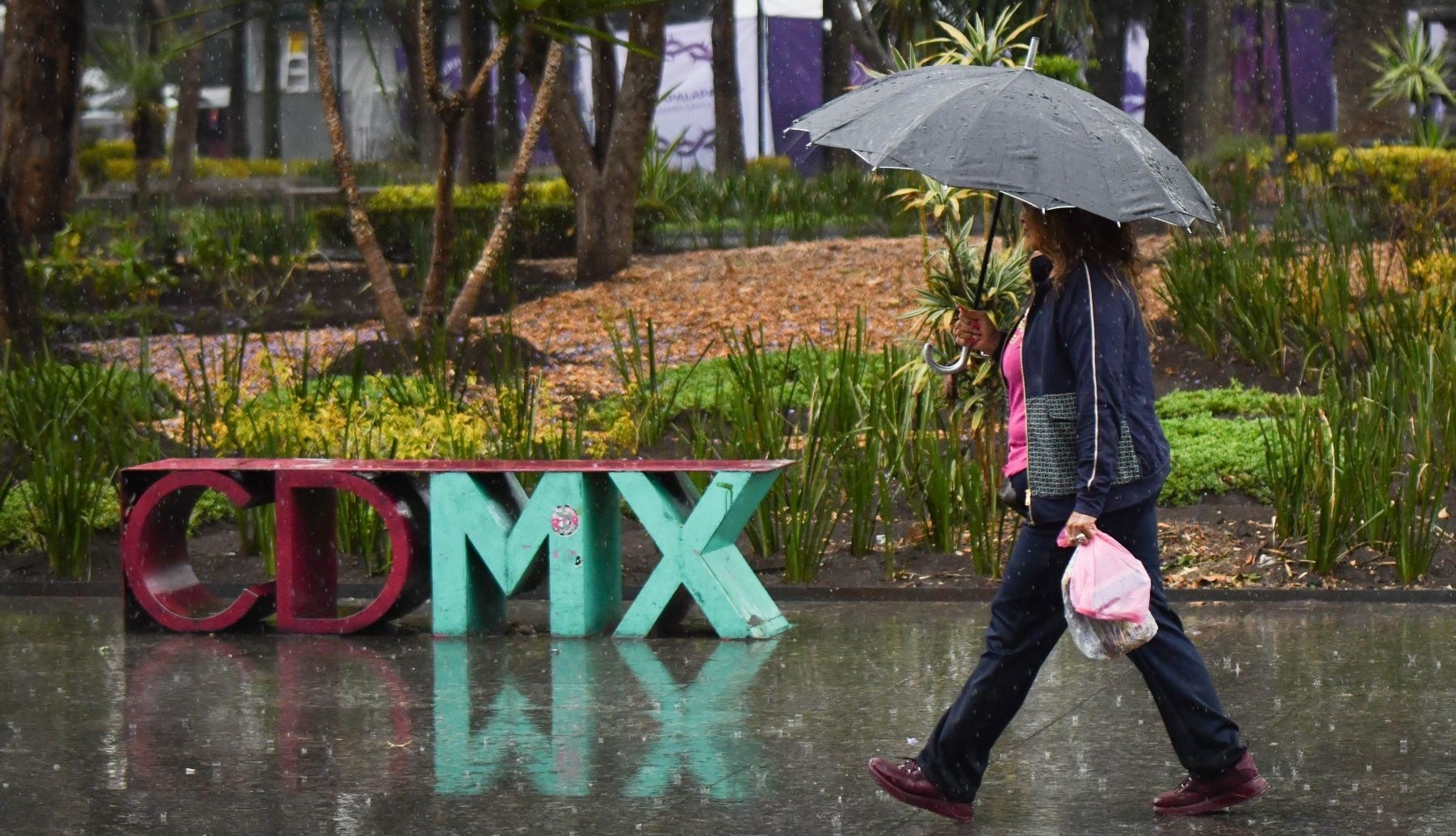 Lluvias en CDMX