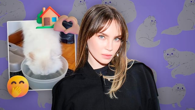 Belinda recupera a su gato Glen