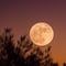 ‘Luna de Cosecha’: ¿Qué significado tiene?