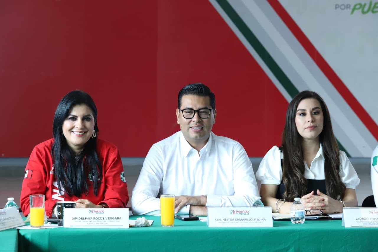 Néstor Camarillo, senador ex priísta
