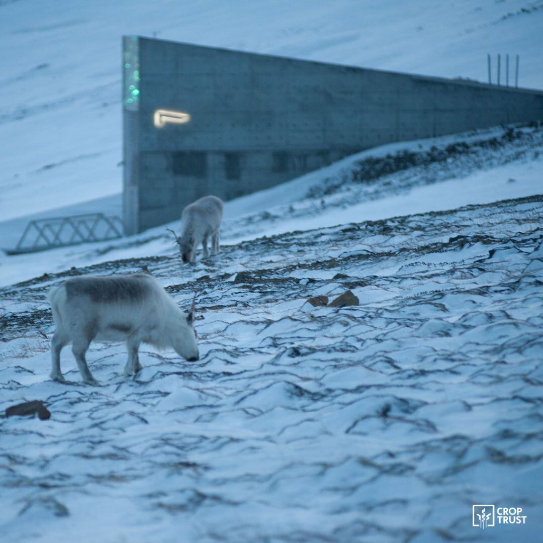 Bóveda del Fin del Mundo en Svalbard, Noruega