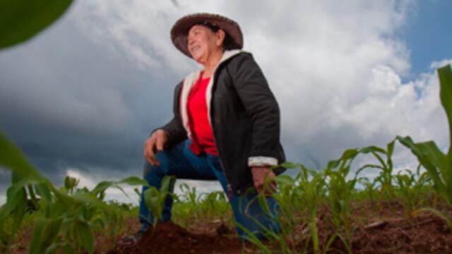 Con la Cuarta Transformación se han implementado muchos planes para reactivar el campo mexicano