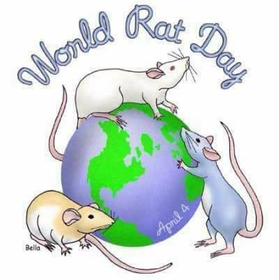 Día Mundial de la Rata