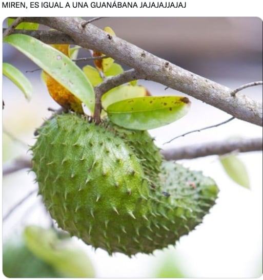 memes del disfraz de Juan Sebastián Guarnizo