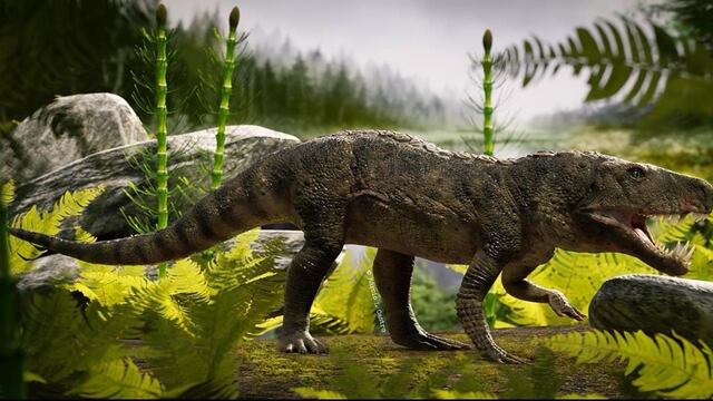 Apariencia del Dynamosuchus collisensis