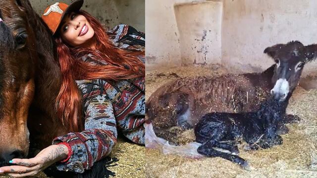 Cuacolandia tiene nuevo integrante