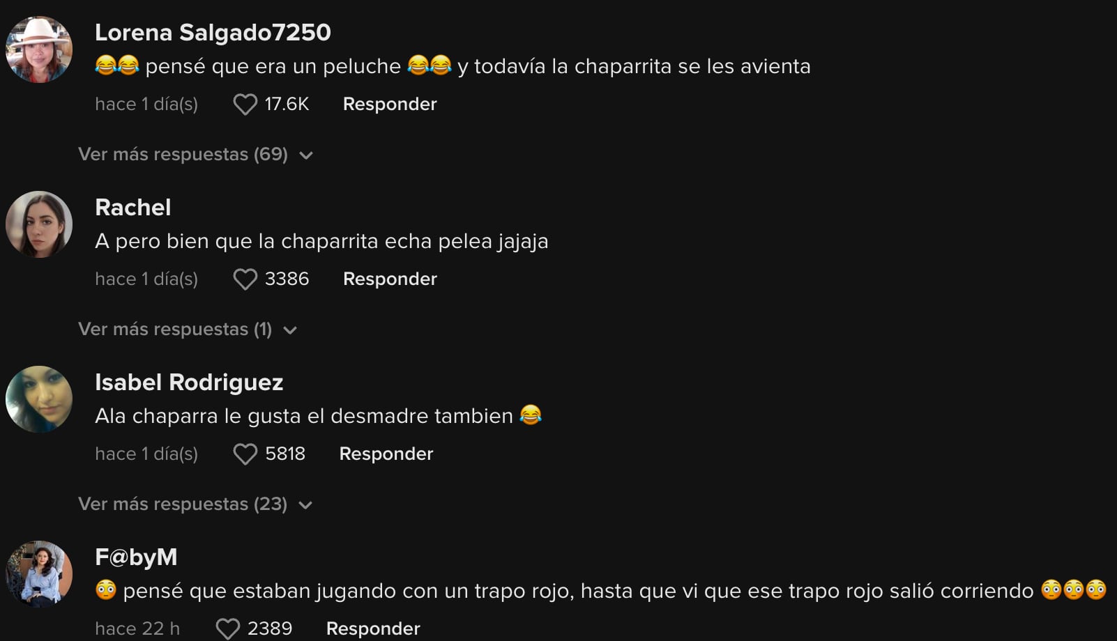 Comentarios al video de los perros en TikTok