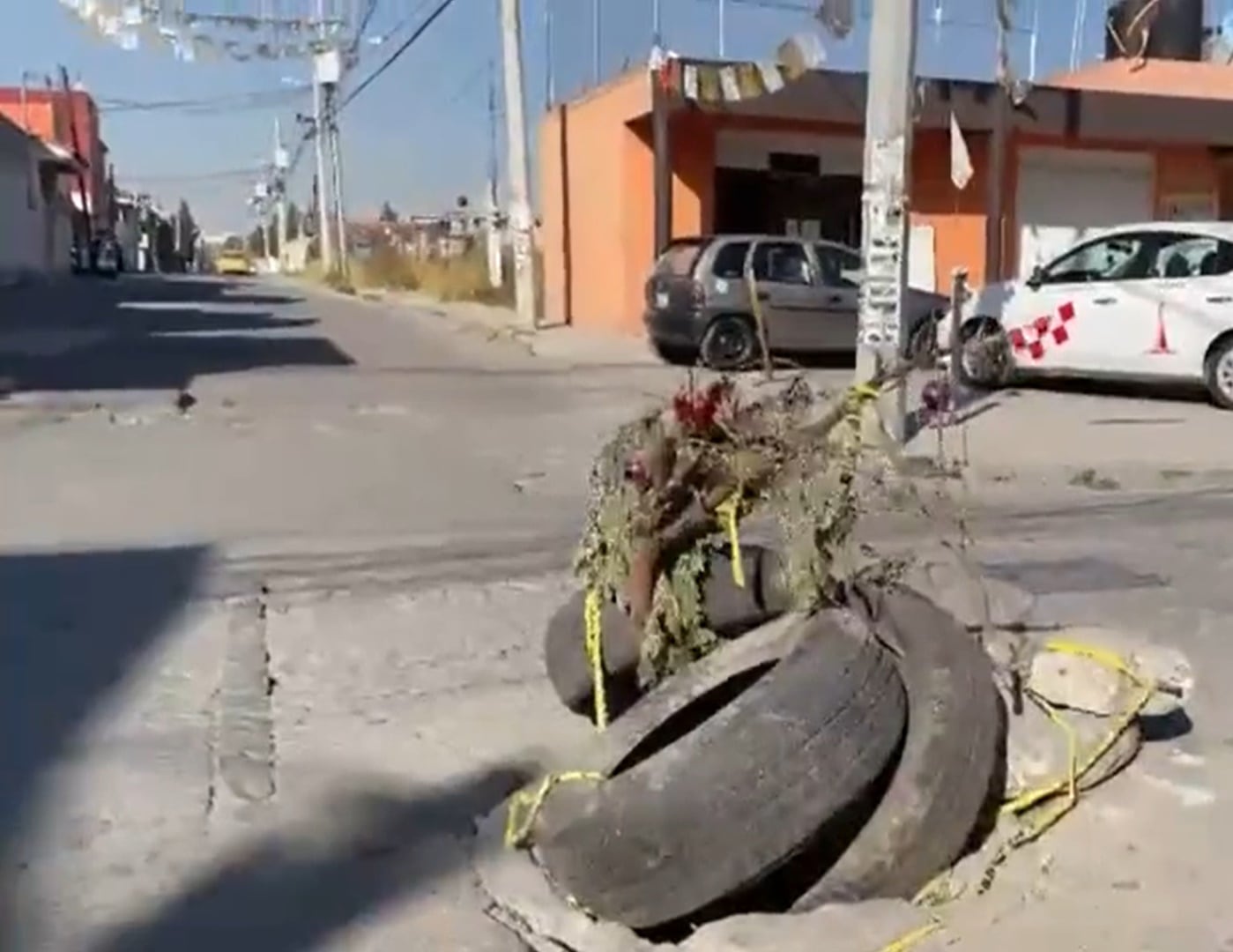 Bache en Toluca