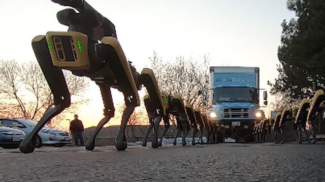 Un grupo de robots SpotMini remolcando un camión.