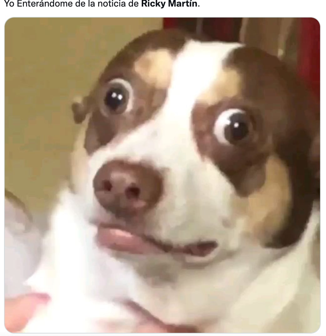 Memes de denuncia contra Ricky Martin