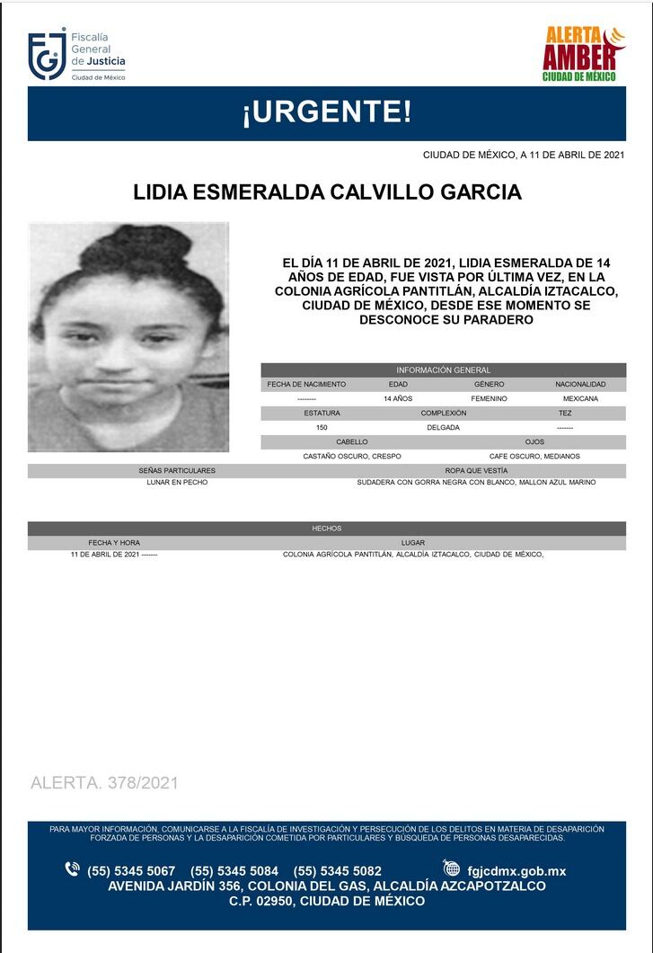 Ficha de búsqueda de Lidia