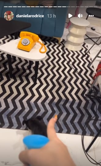 Daniela Rodrice muestra la alfombra no lavable.