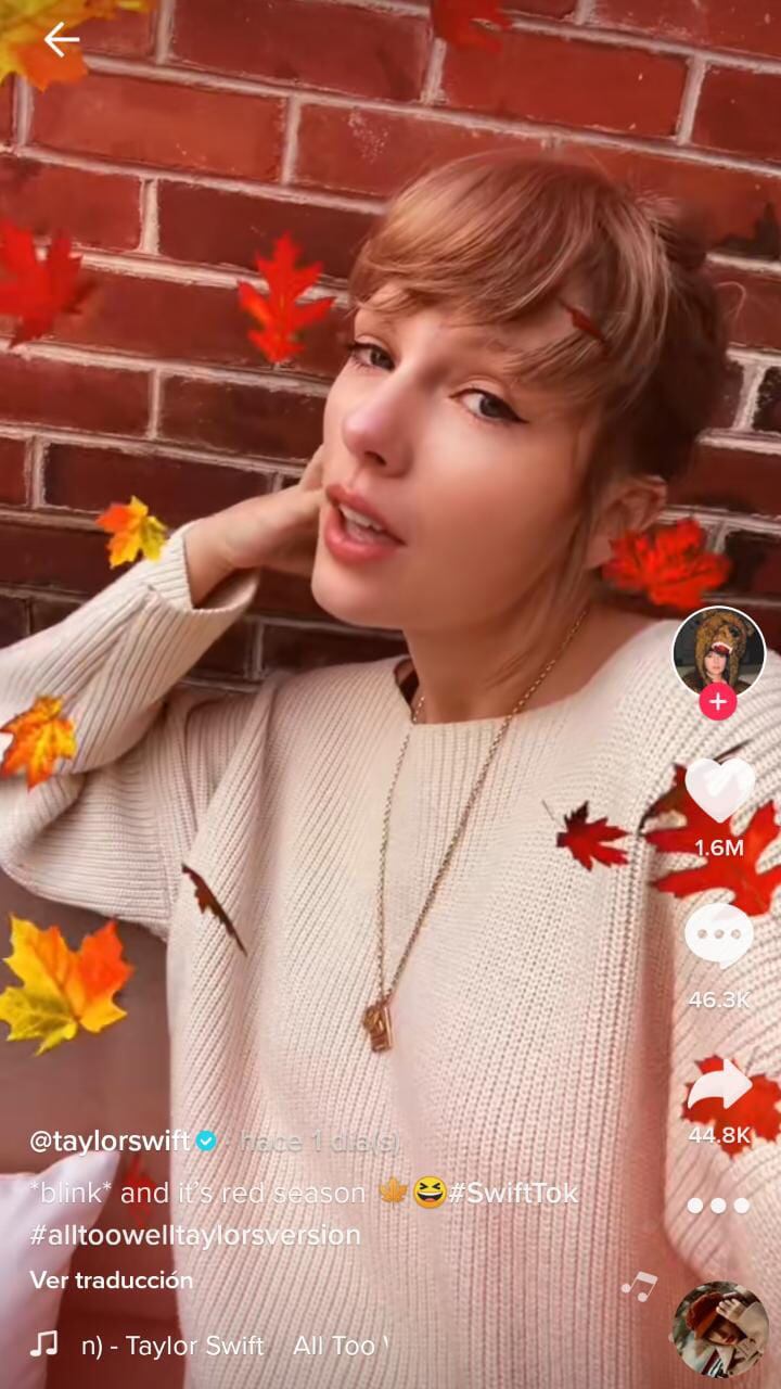 Taylor Swift, filtro