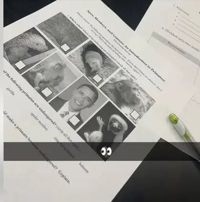 Imagen de Obama como ejemplo de primate