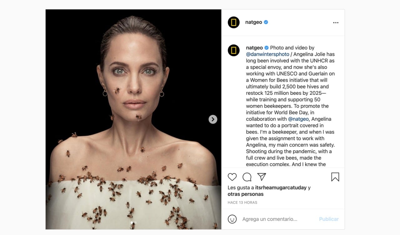 Angelina Jolie cubierta de abejas, sesión fotográfica