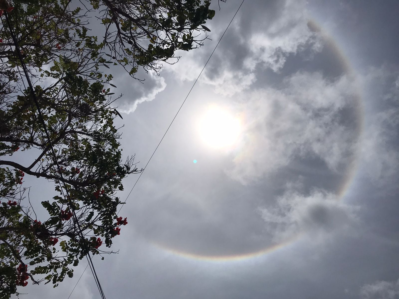 Haro solar, Cancún.