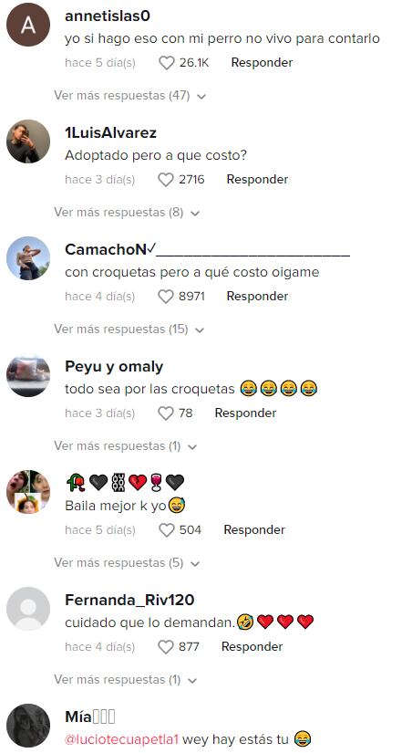 Reacciones al video de TikTok del perro Medio Metro