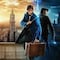 ¿Cómo se llama la precuela de Harry Potter? En esta plataforma de streaming puedes ver la saga completa en español
