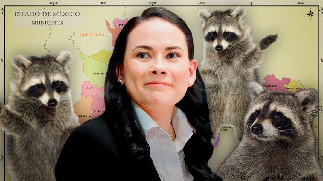 Alejandra del Moral querría recurrir a malas prácticas electorales: Los mapaches